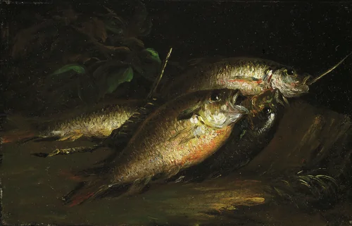 Fish by Shepard Alonzo Mount, painting, 1842