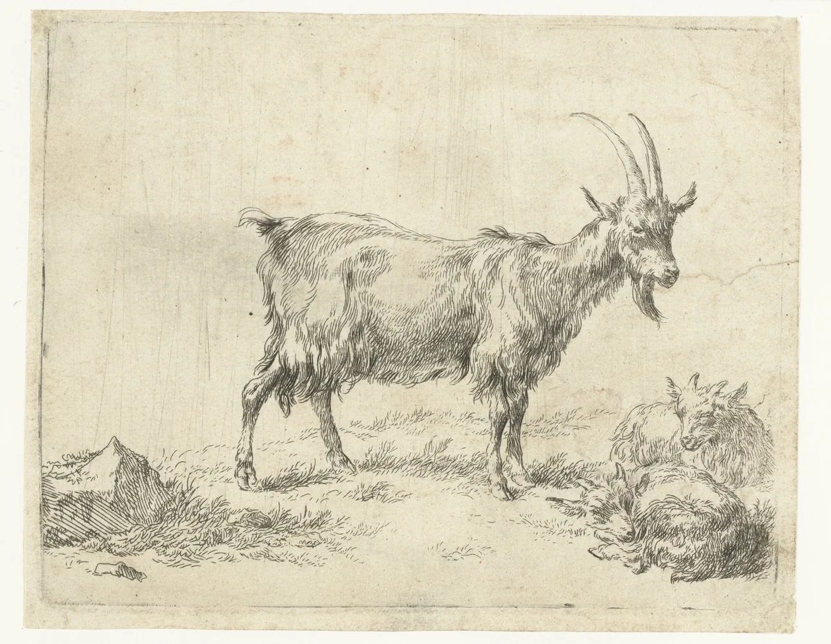 Geit met twee jongen by Nicolaes Pietersz Berchem, print, 1648-1652