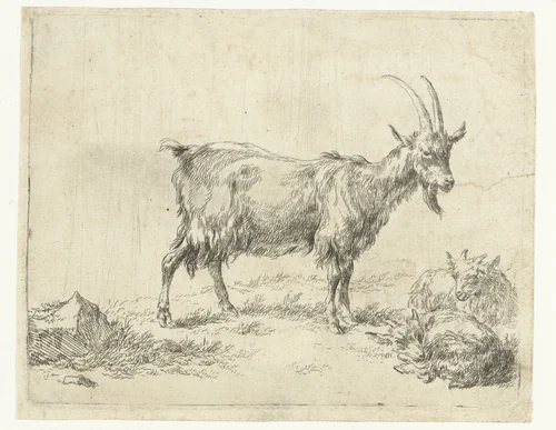 Geit met twee jongen by Nicolaes Pietersz Berchem, print, 1648-1652