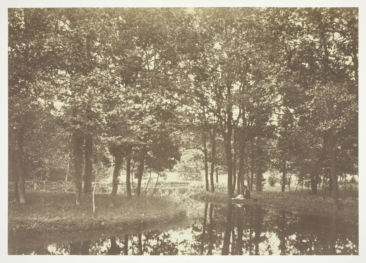 Untitled, from the series "Bois de Boulogne" by Charles Marville, photograph, 1845-1855