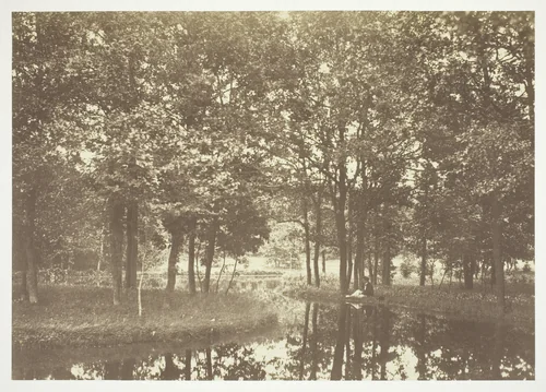 Untitled, from the series "Bois de Boulogne" by Charles Marville, photograph, 1845-1855