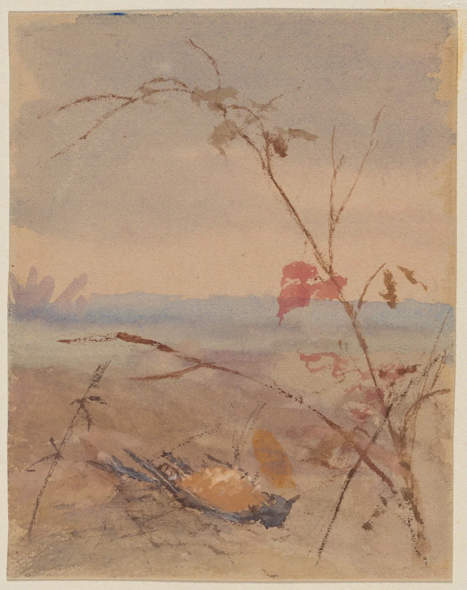 Dead Yellow-breasted Bird in Autumn Landscape by Fidelia Bridges, drawing, 1870-1879