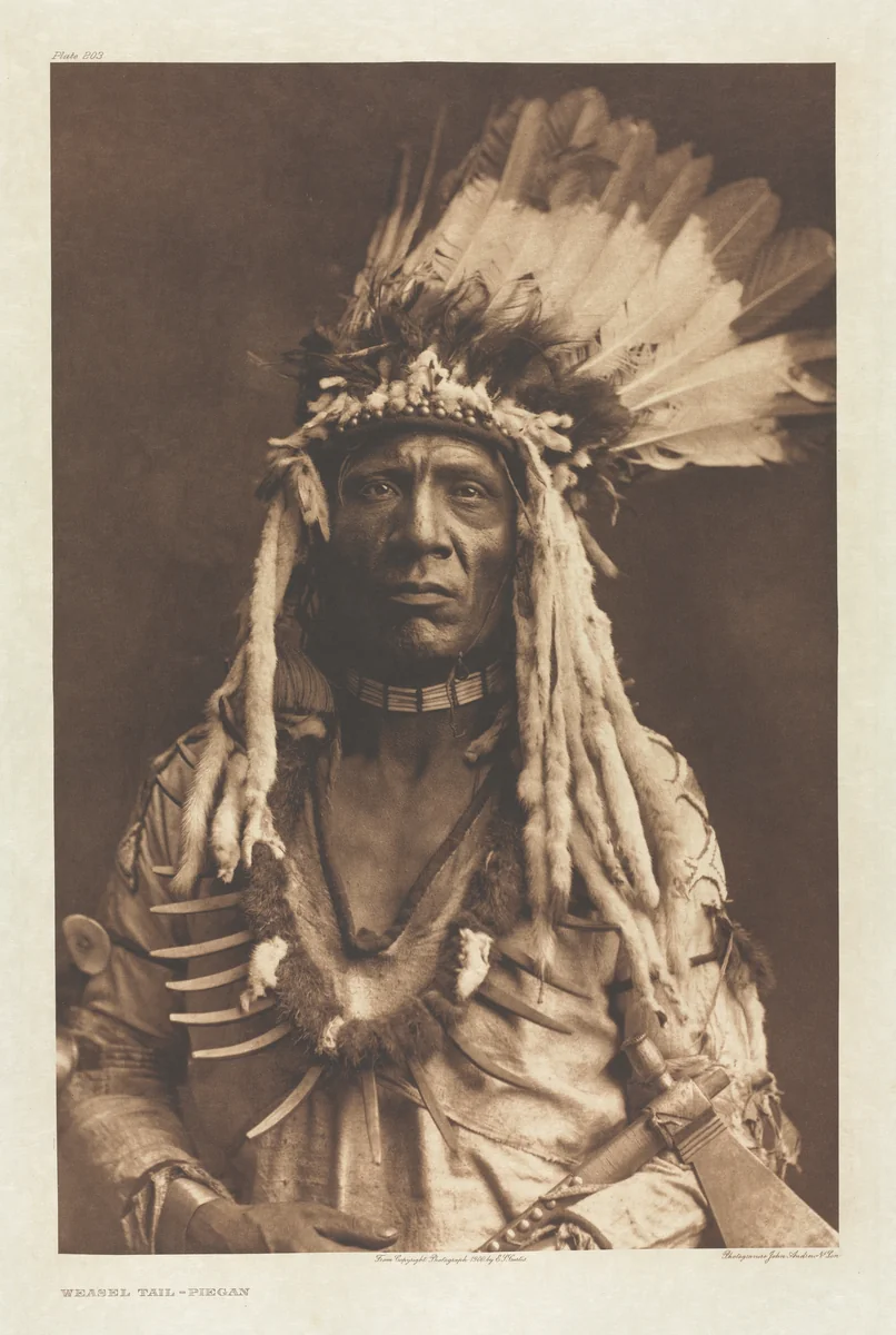 Portfolio VI, Plate 203: Weasel Tail - Piegan by Edward Curtis, other, 1900
