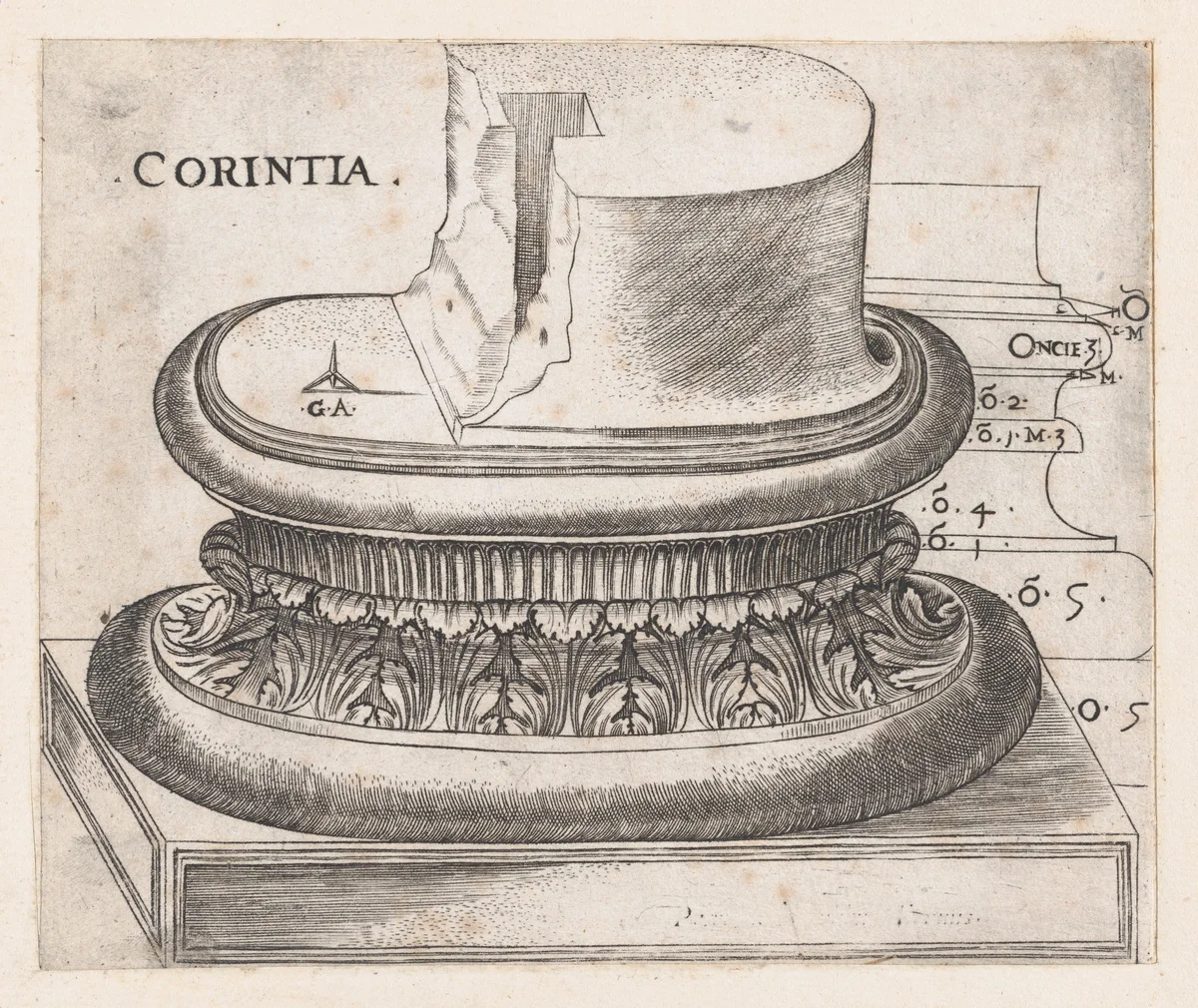 Corinthian base, from "Speculum Romanae Magnificentiae" by Monogrammist G.A. with the Caltrop, print, 1534-1540