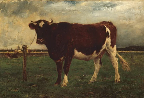 Study of a Cow by Emile van Marcke de Lummen, painting, 1870-1890