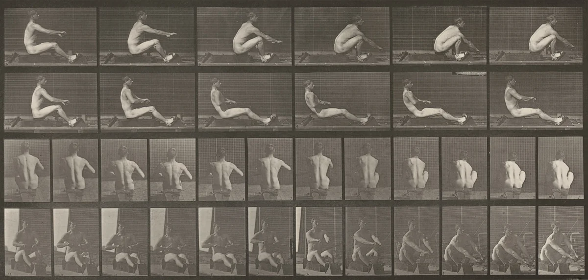 Plate Number 328. Rowing by Eadweard Muybridge, photograph, 1887