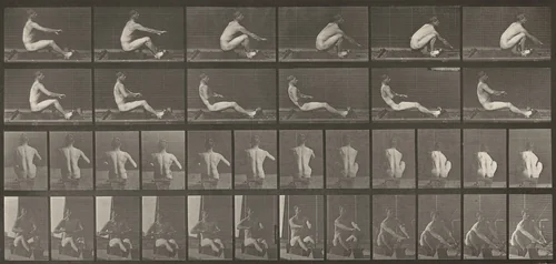 Plate Number 328. Rowing by Eadweard Muybridge, photograph, 1887