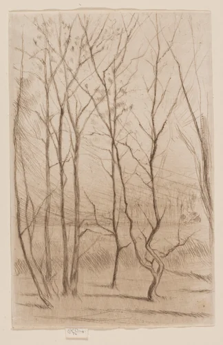 The Dam Wood by James McNeill Whistler, print, 1874-1875