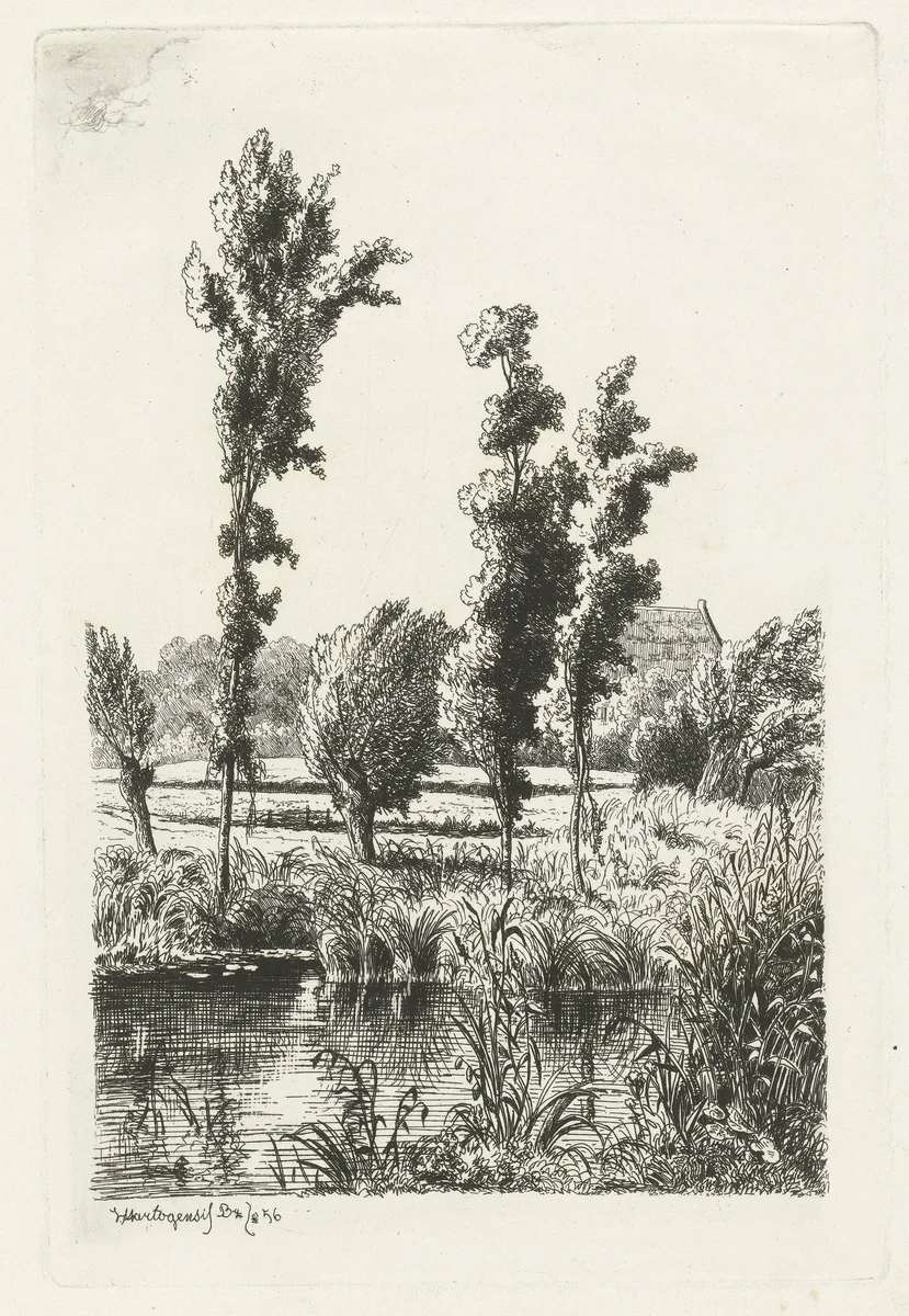 Bomen aan een sloot by Joseph Hartogensis, print, 1856