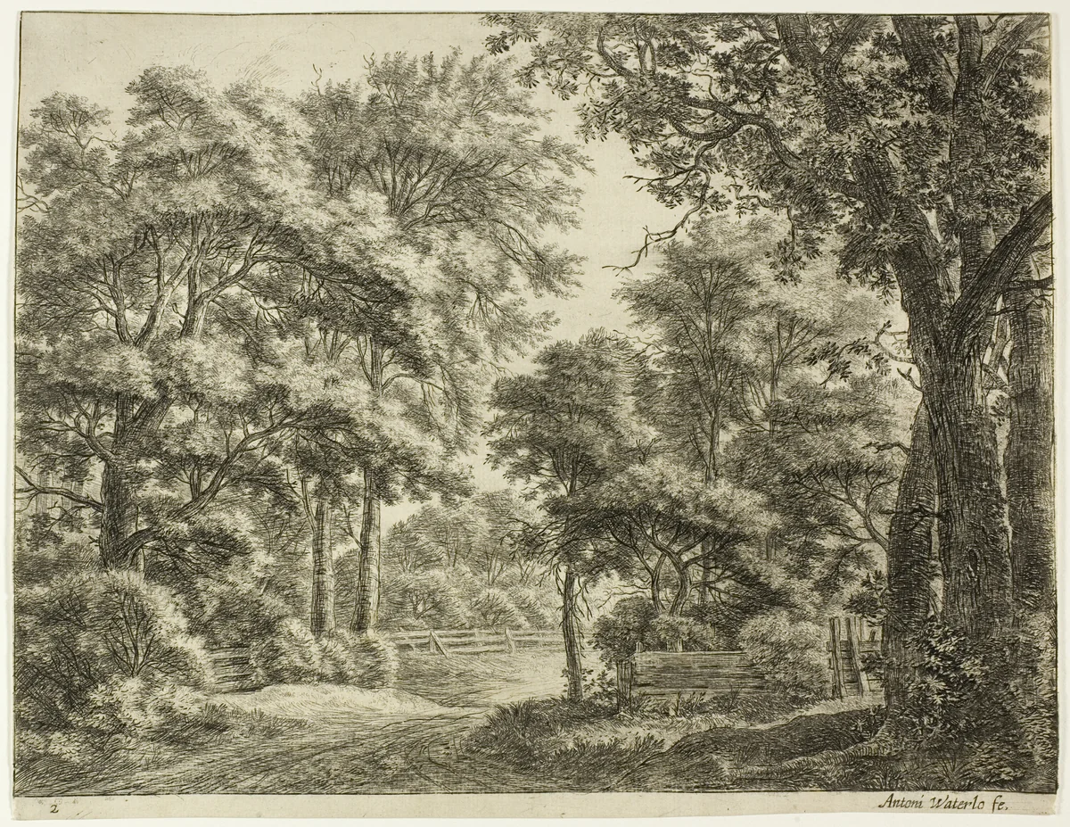 The Parts of the Wood Newly Cut by Anthonie Waterloo, print, 1630-1690