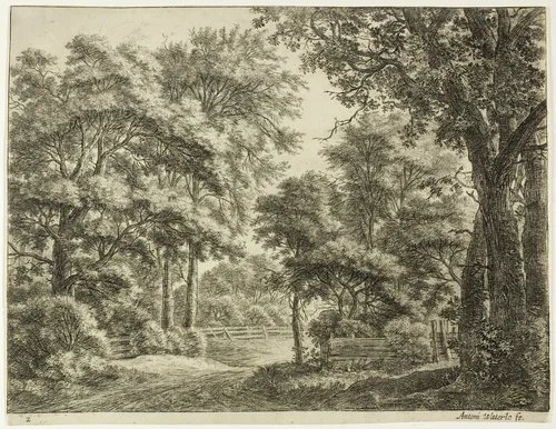 The Parts of the Wood Newly Cut by Anthonie Waterloo, print, 1630-1690