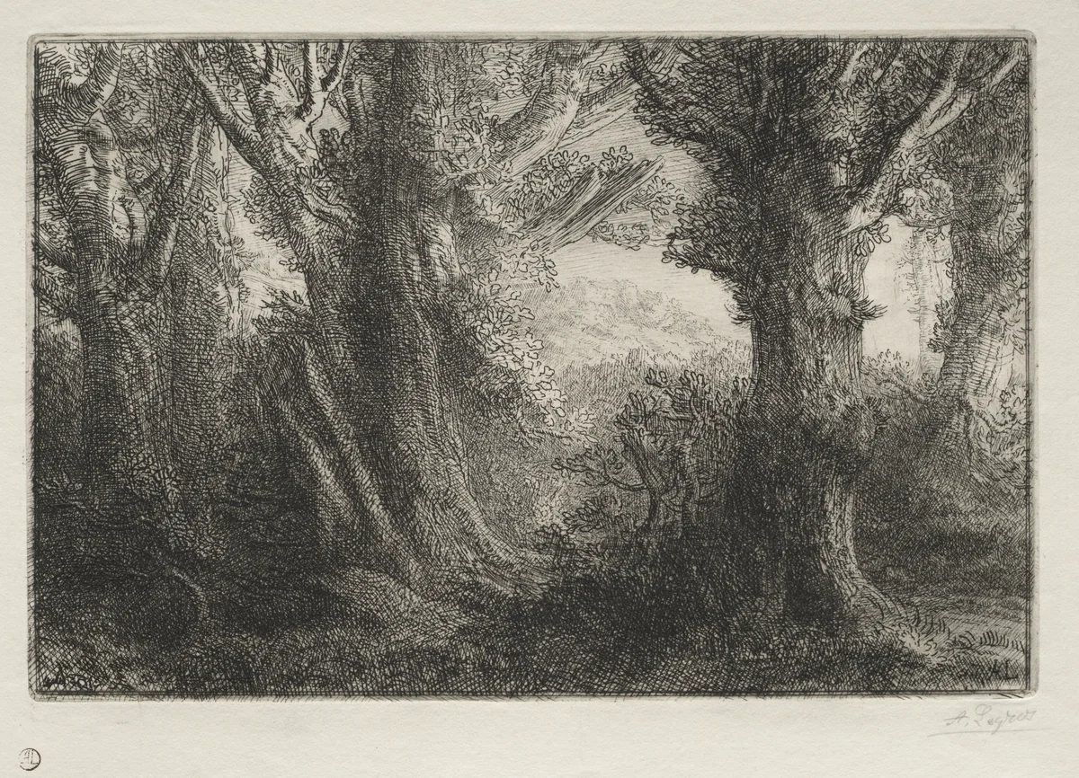 In the Forest at Conteville by Alphonse Legros, print, 1857-1911
