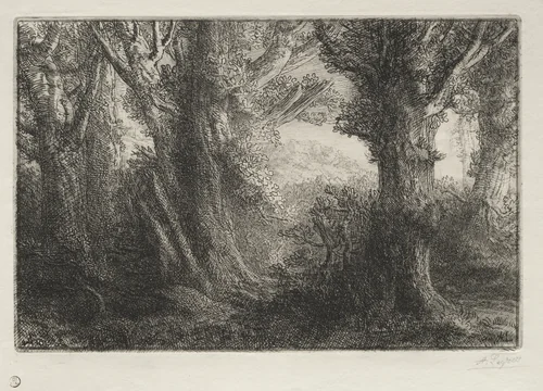 In the Forest at Conteville by Alphonse Legros, print, 1857-1911
