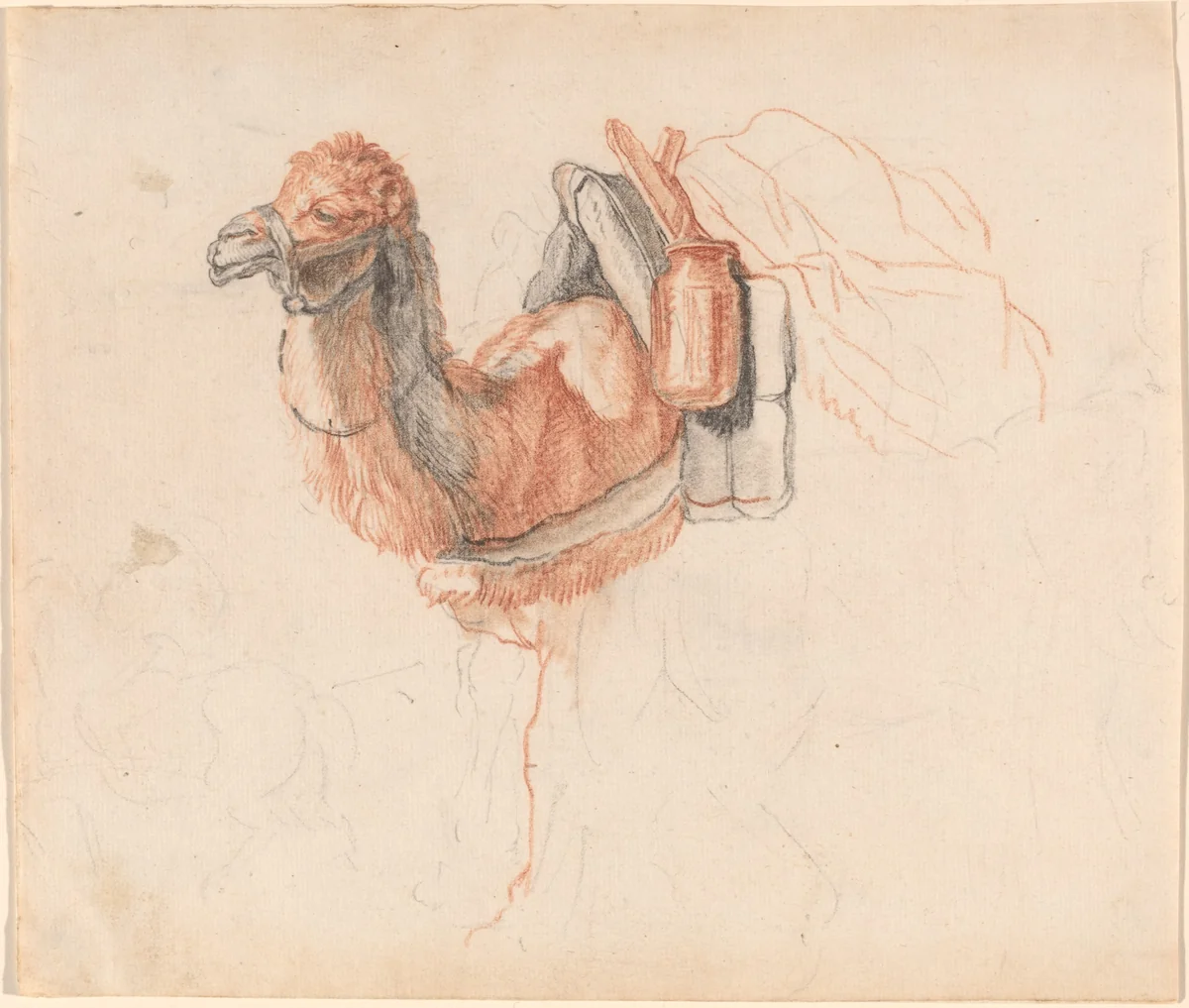 Camel by Johann Rudolph Schellenberg, drawing, 1740-1806