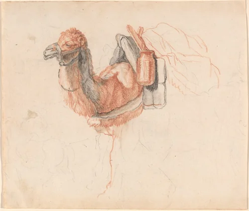 Camel by Johann Rudolph Schellenberg, drawing, 1740-1806