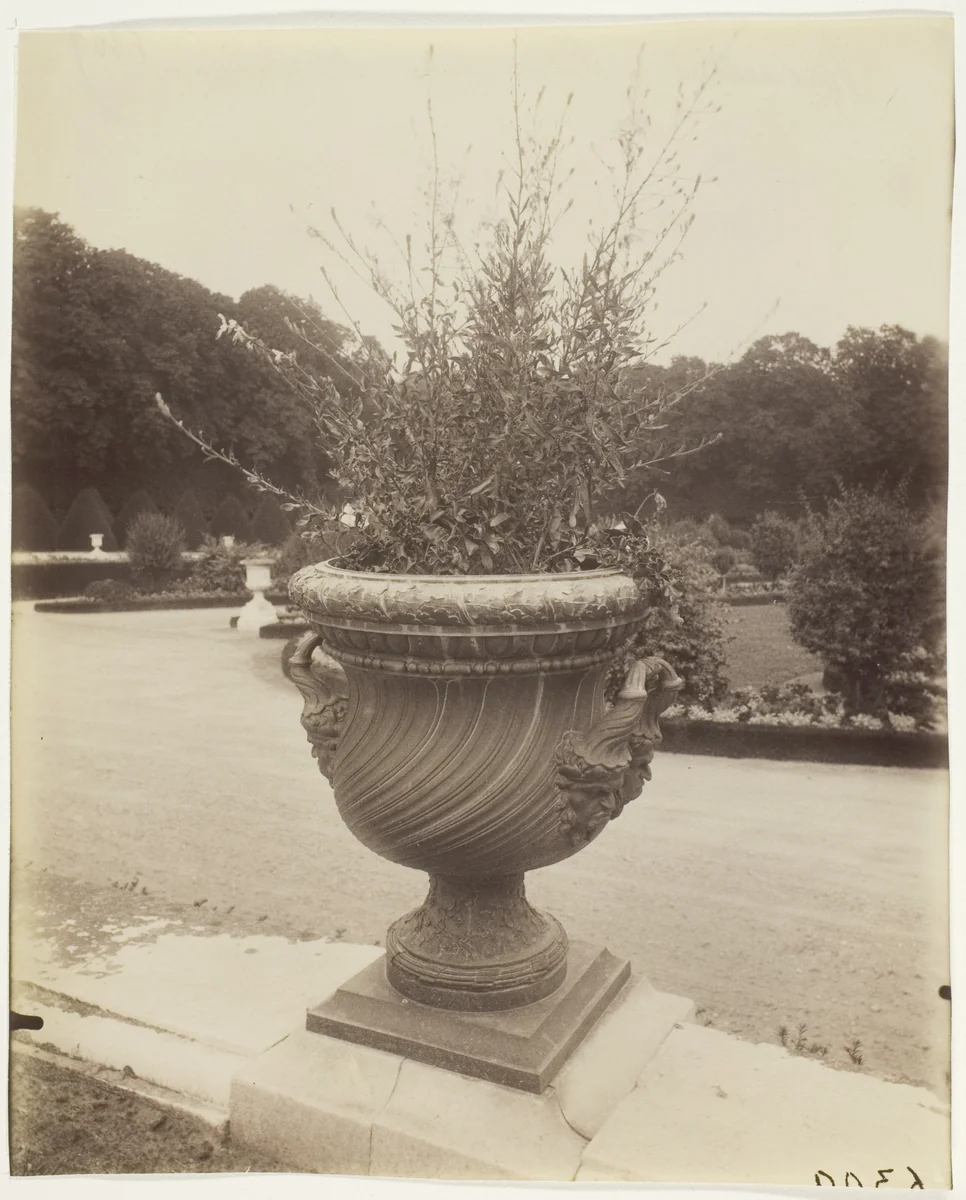 Versailles, Vase par Ballin by Jean-Eugène-Auguste Atget, photograph, 1902