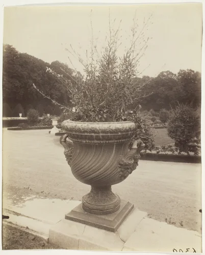 Versailles, Vase par Ballin by Jean-Eugène-Auguste Atget, photograph, 1902