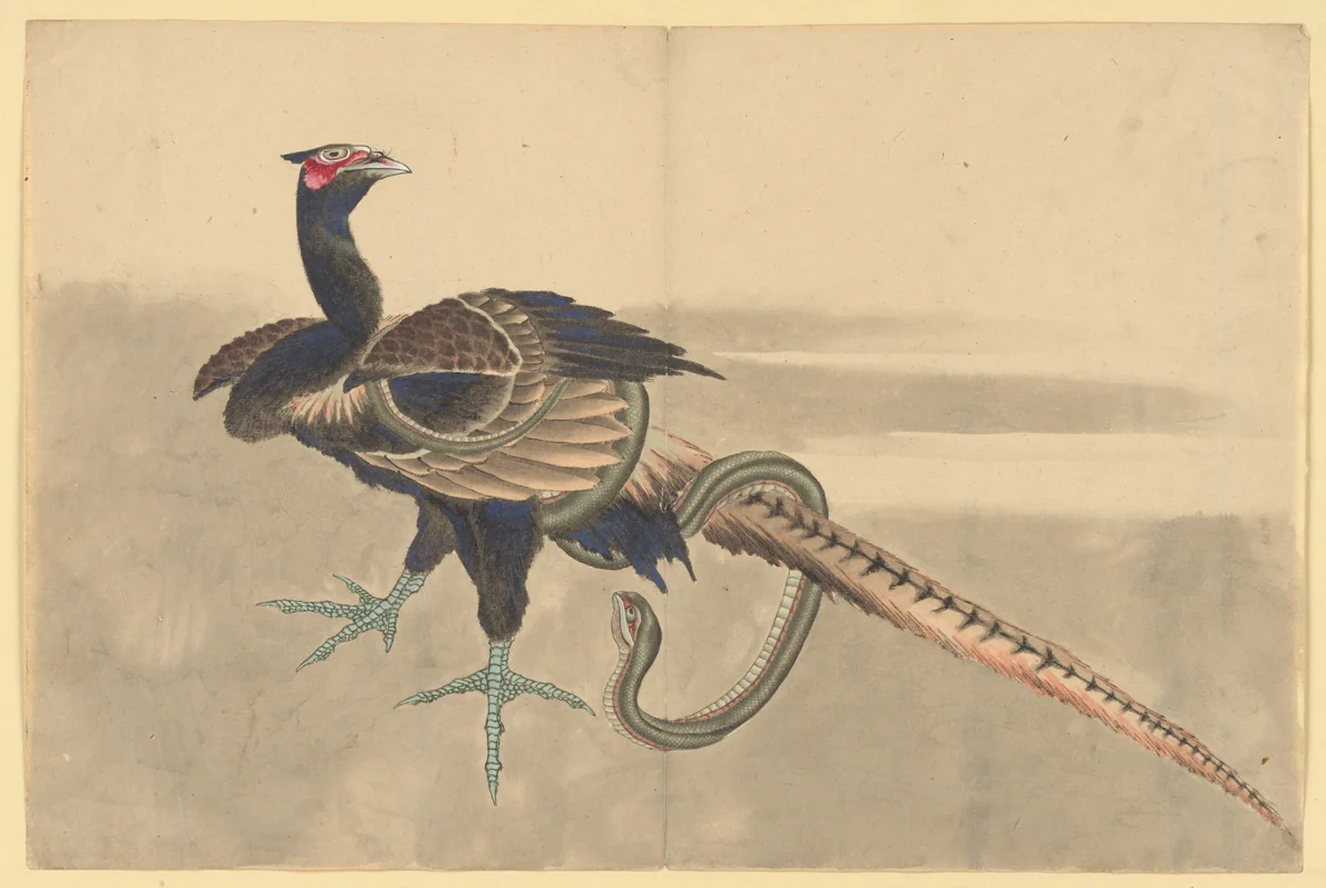 Pheasant and Snake by Katsushika Hokusai (葛飾 北斎), painting, 1700-1899