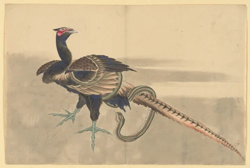 Pheasant and Snake by Katsushika Hokusai (葛飾 北斎), painting, 1700-1899
