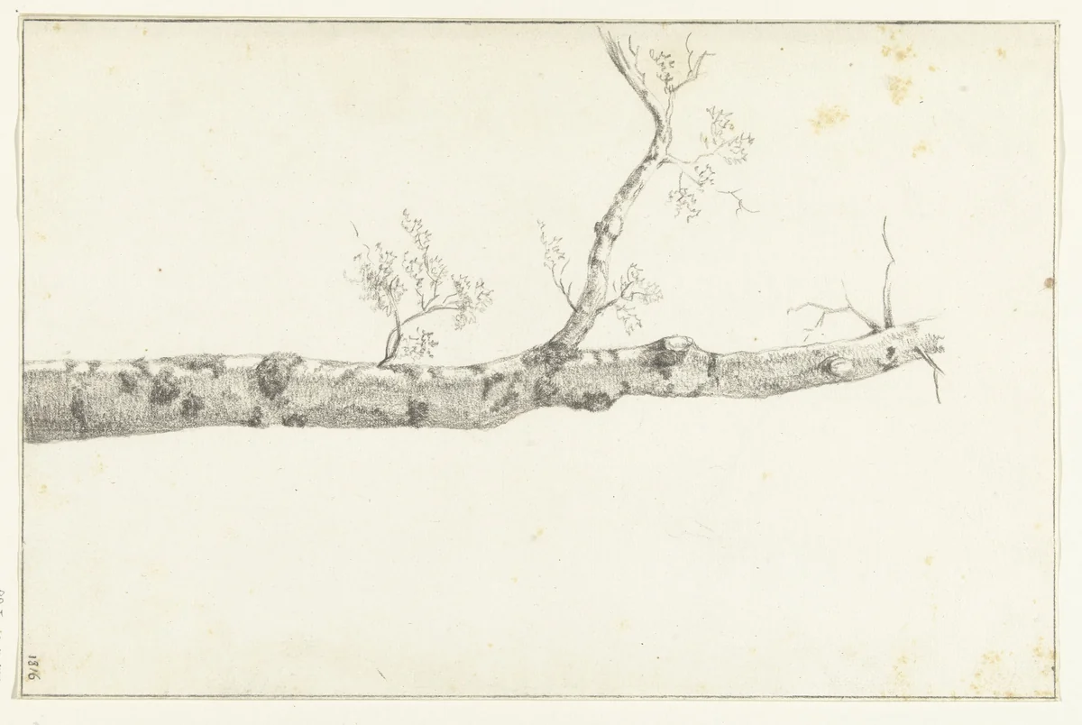 Studie van een boom by Jean Bernard, drawing, 1816