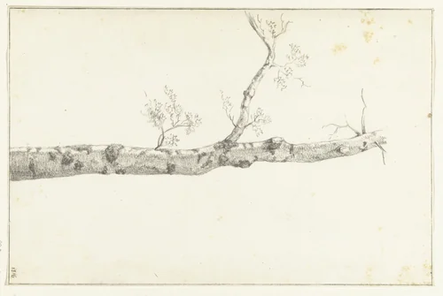 Studie van een boom by Jean Bernard, drawing, 1816