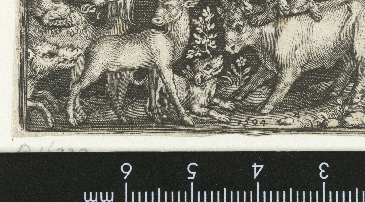 Apen zittend op kameel en stier met gevangen hert by Unknown, print, 1594