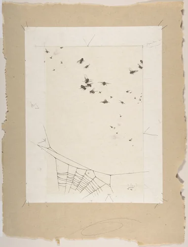 A Swarm of Flies above a Spider's Web by Alexandre-Louis Leloir, drawing, 1860-1884