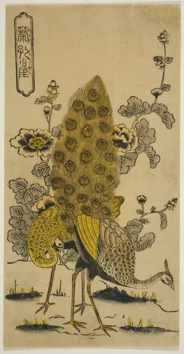 Hollyhocks and Peacocks (Aoi ni kujaku) by Nishimura Shigenobu, print, 1730-1734