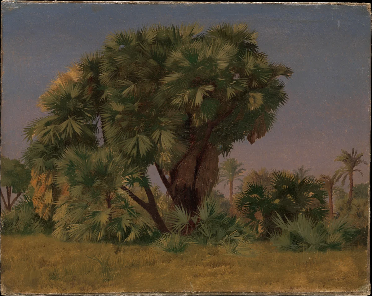 Study of Palm Trees by Jean-Léon Gérôme, painting, 1855-1856