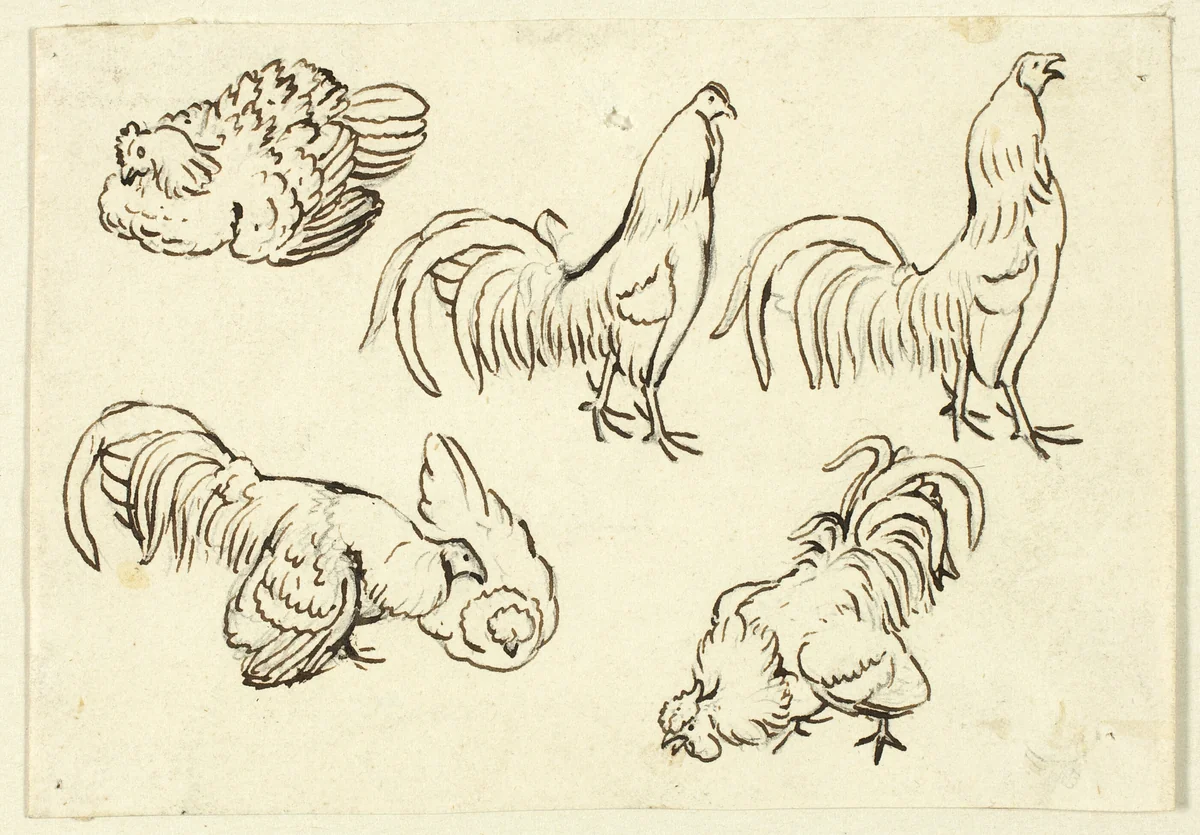 Sketches of Poultry by Henry Stacy Marks, drawing, 1844-1898
