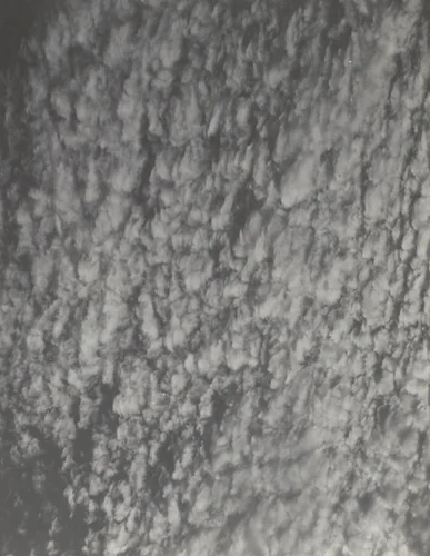 Songs of the Sky by Alfred Stieglitz, photograph, 1923