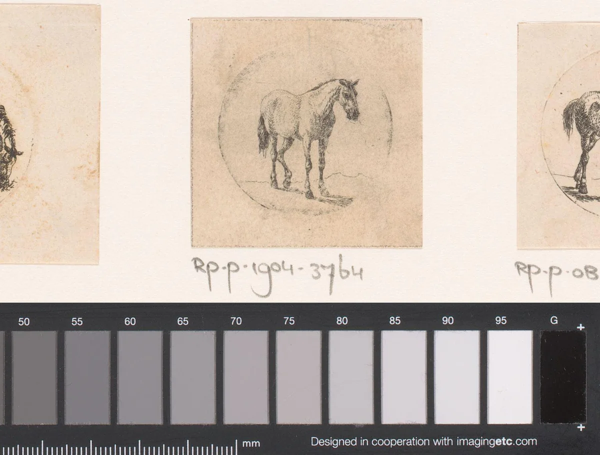 Staand paard by Pierre-François le Roy, print, 1794-1862