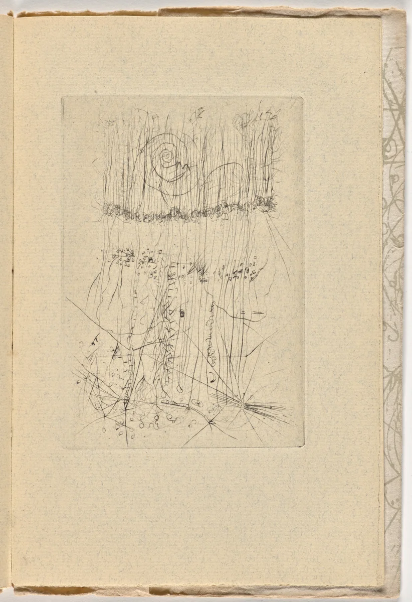 Plate (page 33) from Le Berger d'Écosse, Les Passagers, La Pierre philosophale (The Scottish Sheperd, The Passangers, The Philosopher's Stone) by Wols, illustrated book, 1948