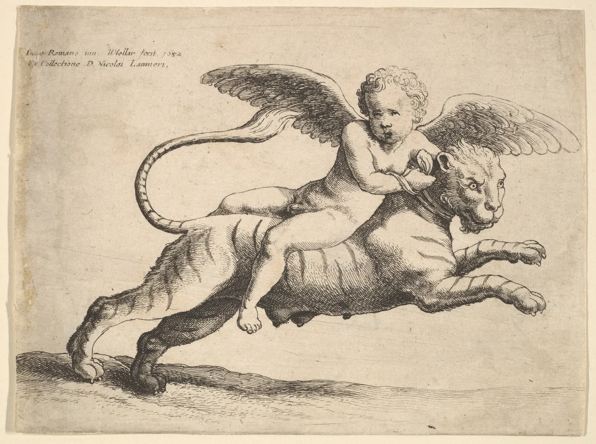 Cupid on a tiger by Wenceslaus Hollar, print, 1652