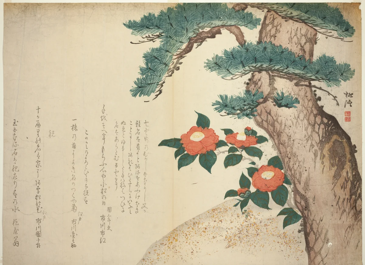 A Pine Tree and Camellias by Niwa Tokei, print, 1810-1820