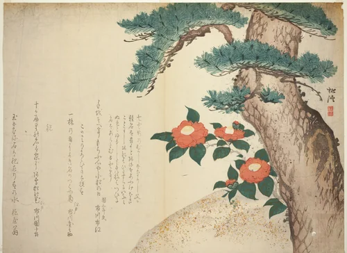 A Pine Tree and Camellias by Niwa Tokei, print, 1810-1820
