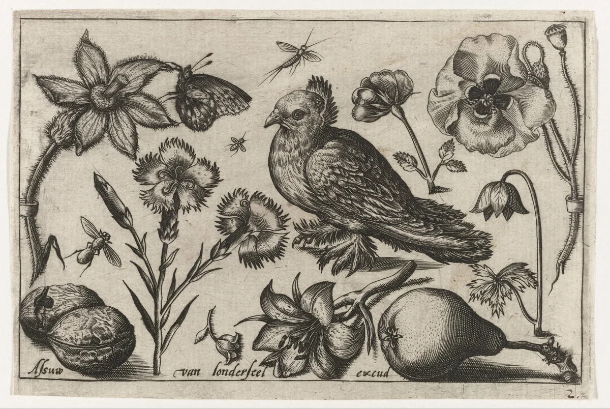 Bloemen, een peer en een duif by Unknown, print, 1594