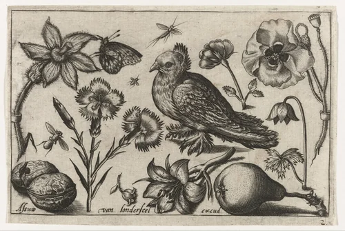Bloemen, een peer en een duif by Unknown, print, 1594