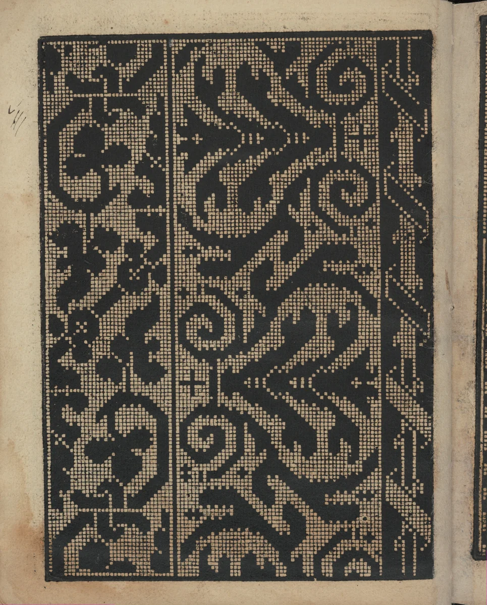 Libbretto nouellamete composto per maestro Domenico da Sera...lauorare di ogni sorte di punti, page 20 (verso) by Domenico da Sera, book, 1532