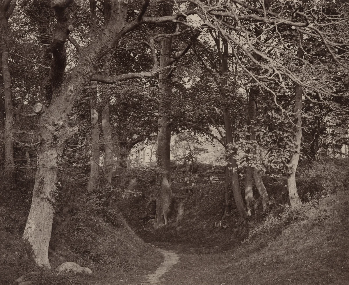 Glen Kenilworth by Francis Bedford, photograph, 1863-1873