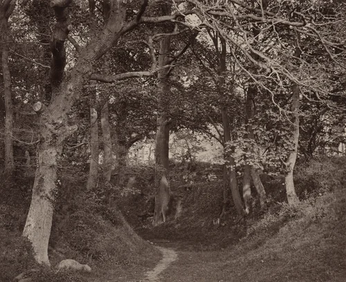 Glen Kenilworth by Francis Bedford, photograph, 1863-1873