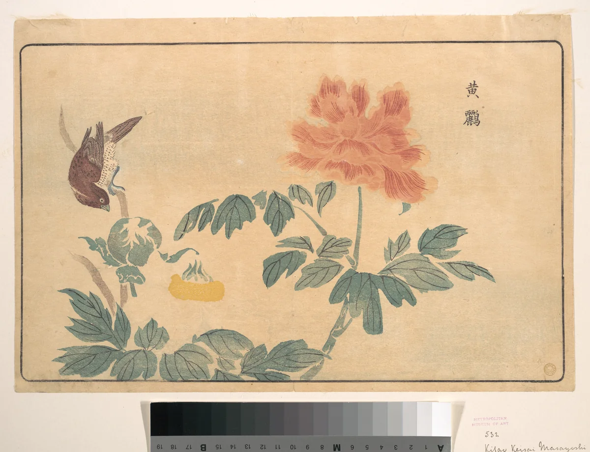 Chinese Oriole and Peonies by Kuwagata Keisai (鍬形蕙斎), print, 1789