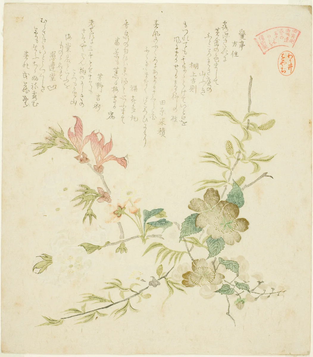 Various Spring Flowers, from the series "Springtime Plants and Trees for the Kasumi Poetry Circle of the Yomo Group (Yomogawa Kasumi-ren haru no kusaki no uchi)" by Kubo Shunman (窪俊満), print, 1815-1825