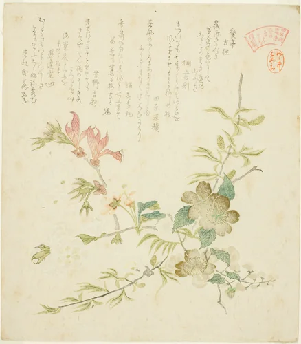 Various Spring Flowers, from the series "Springtime Plants and Trees for the Kasumi Poetry Circle of the Yomo Group (Yomogawa Kasumi-ren haru no kusaki no uchi)" by Kubo Shunman (窪俊満), print, 1815-1825
