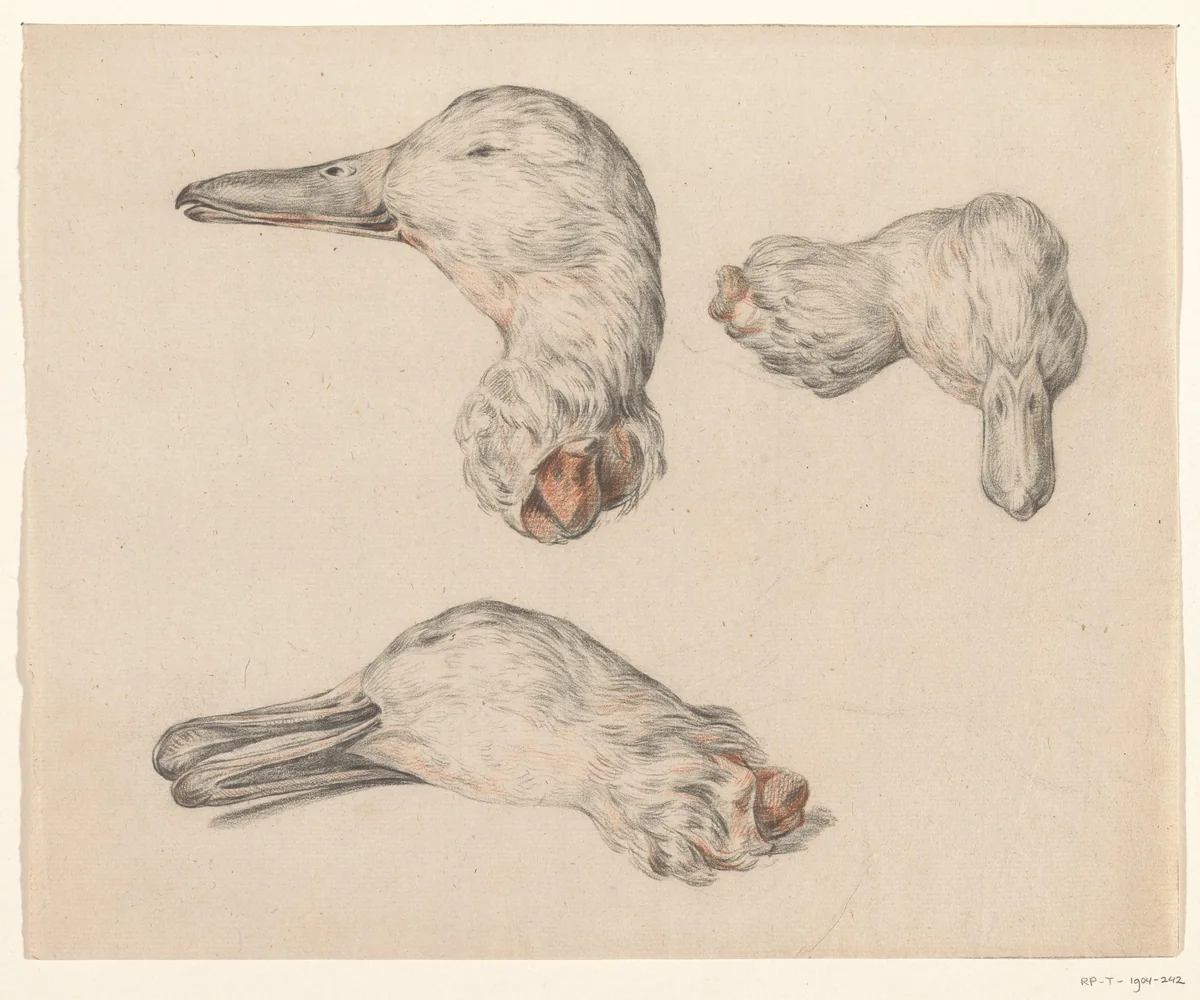 Afgehakte kop van een eend by Jean Bernard, drawing, 1775-1833