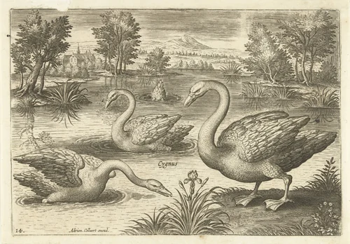 Drie zwanen in een vijver by Adriaen Collaert, print, 1598-1602