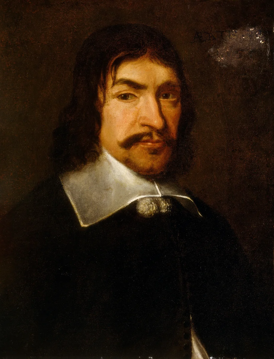 Portrait of a Man by Dutch 17th Century, painting, 1655