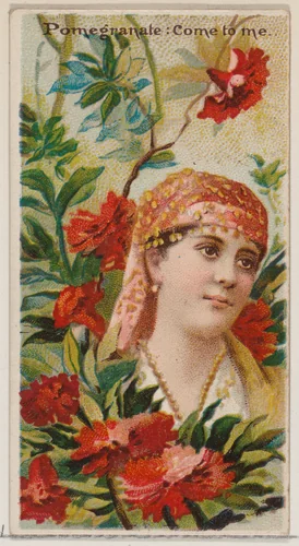 Pomegranate: Come to Me, from the series Floral Beauties and Language of Flowers (N75) for Duke brand cigarettes by American Tobacco Company, print, 1892