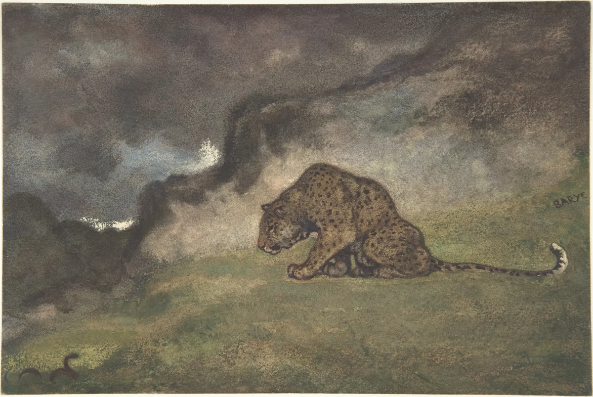 Leopard Watching Serpent by Antoine-Louis Barye, drawing, 1810-1875