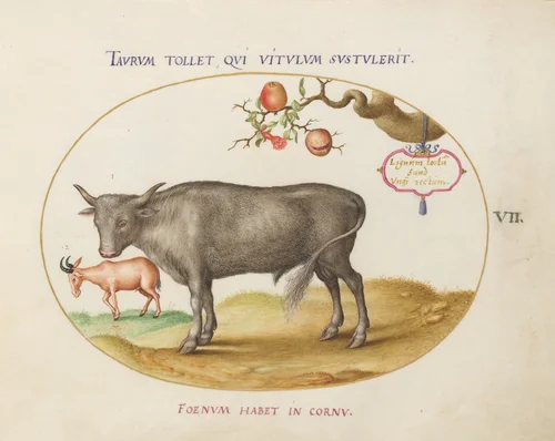 Plate 7: A Bull and a Horned Animal by Joris Hoefnagel, drawing, 1570-1599